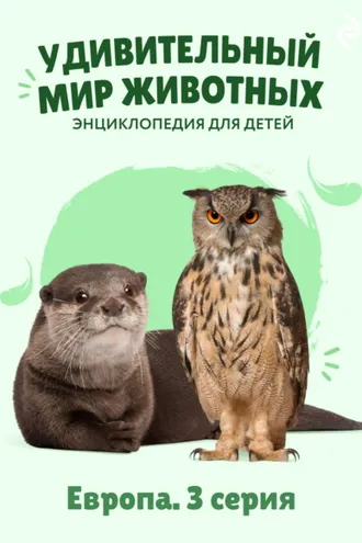 Обложка книги «Удивительный мир животных. Европа. 3 серия»