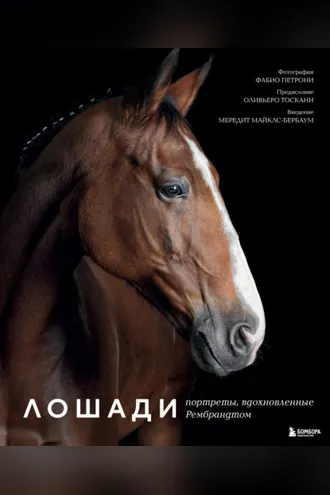 Обложка книги «Лошади. Портреты, вдохновленные Рембрандтом»