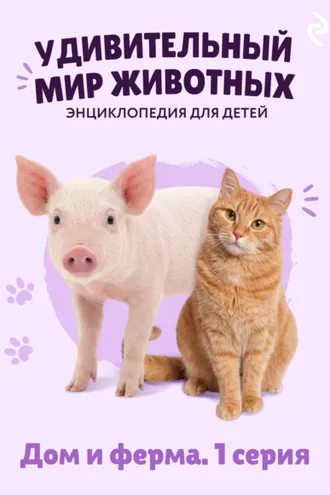 Обложка книги «Удивительный мир животных. Дом и ферма. 1 серия»