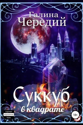 Обложка книги «Суккуб в квадрате»