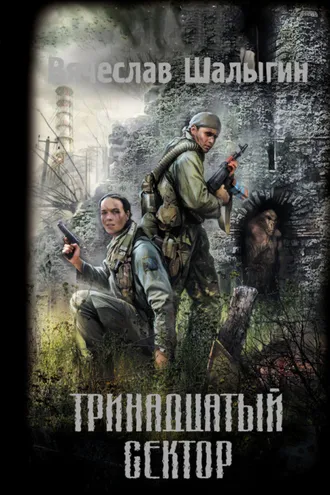 Обложка книги «Тринадцатый сектор»