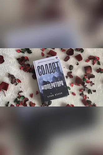 Обложка книги «Солдат императора»