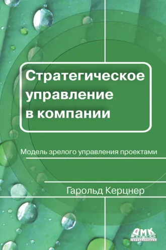 Обложка книги «Стратегическое управление в компании»