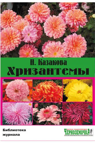 Обложка книги «Хризантемы»
