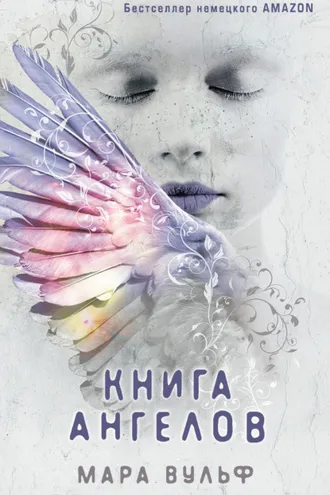 Обложка книги «Книга ангелов»