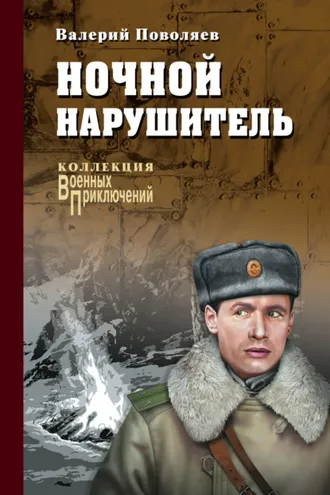 Обложка книги «Ночной нарушитель (сборник)»