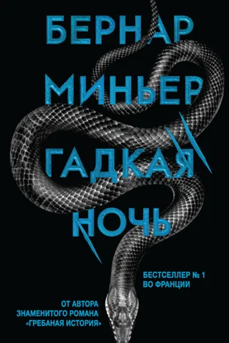 Обложка книги «Гадкая ночь»