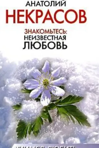 Обложка книги «Знакомьтесь: неизвестная любовь»