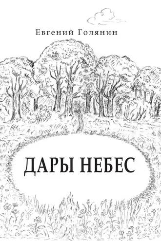 Обложка книги «Дары небес»