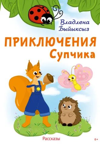 Обложка книги «Приключения Супчика»