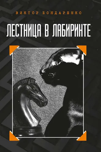 Обложка книги «Лестница в лабиринте»