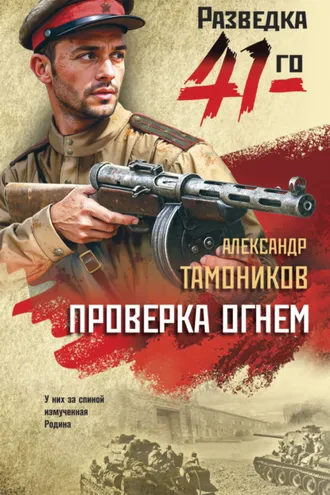 Обложка книги «Проверка огнем»