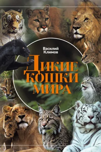Обложка книги «Дикие кошки мира»