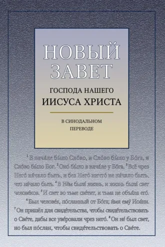 Обложка книги «Новый Завет Господа Нашего Иисуса Христа (с ударениями)»