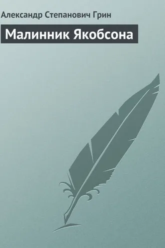 Обложка книги «Малинник Якобсона»