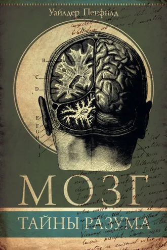 Обложка книги «Мозг. Тайны разума»