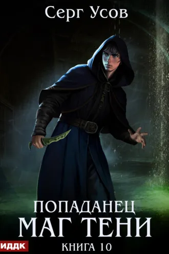 Обложка книги «Попаданец. Маг Тени. Книга 10»