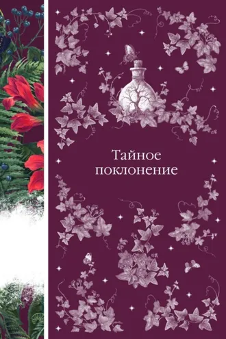 Обложка книги «Тайное поклонение»