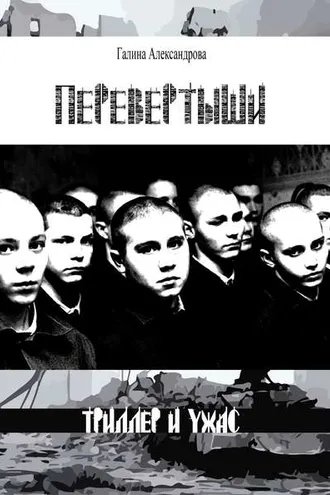 Обложка книги «Перевёртыши»