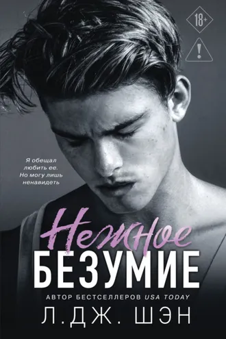 Обложка книги «Нежное безумие»