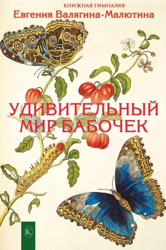 Обложка книги «Удивительный мир бабочек»