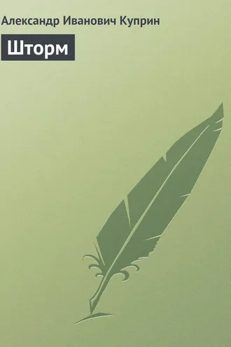 Обложка книги «Шторм»