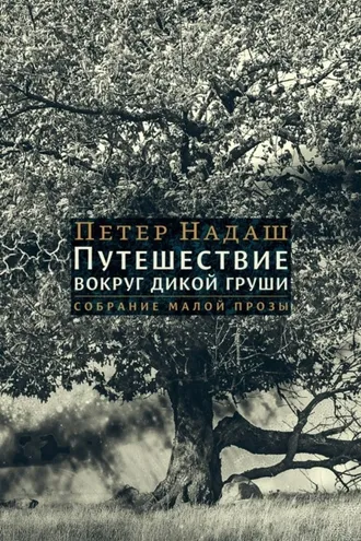 Обложка книги «Путешествие вокруг дикой груши»