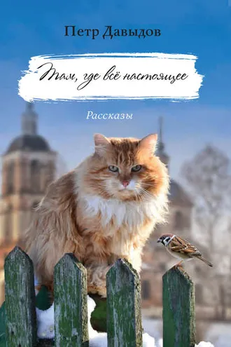 Обложка книги «Там, где всё настоящее. Рассказы»