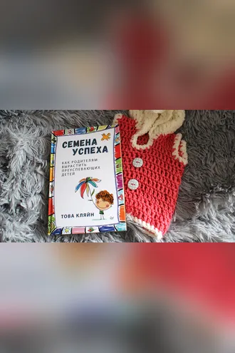 Обложка книги «Семена успеха. Как родителям вырастить преуспевающих детей»