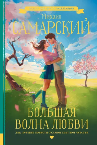 Обложка книги «Большая волна любви»