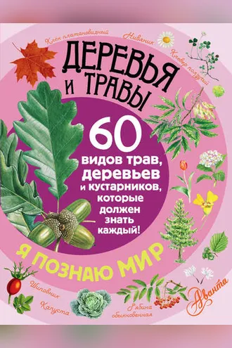 Обложка книги «Деревья и травы. 60 видов трав, деревьев и кустарников, которые должен знать каждый»