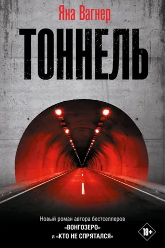 Обложка книги «Тоннель»