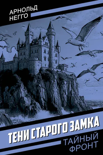 Обложка книги «Тени старого замка»