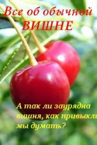 Обложка книги «Все об обычной вишне»