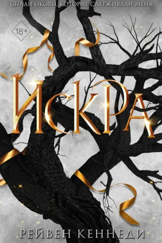 Обложка книги «Искра»
