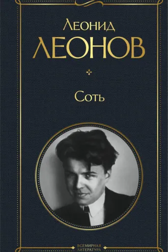 Обложка книги «Соть»