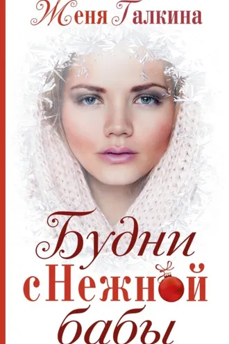Обложка книги «Будни Снежной бабы»