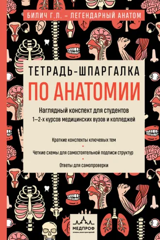 Обложка книги «Тетрадь-шпаргалка по анатомии»