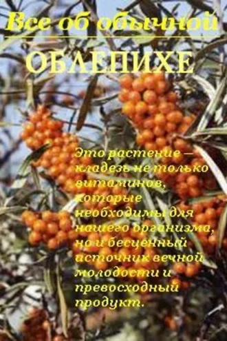 Обложка книги «Все об обычной облепихе»