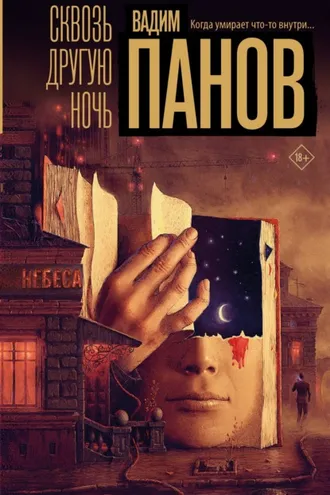 Обложка книги «Сквозь другую ночь»