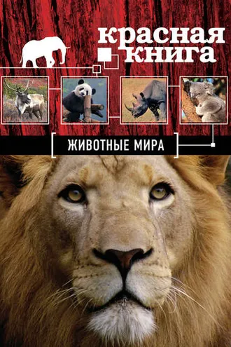 Обложка книги «Красная книга. Животные мира»