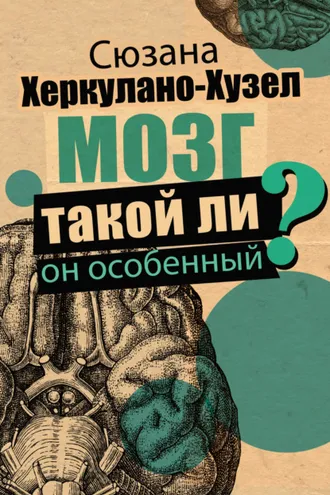 Обложка книги «Мозг. Такой ли он особенный?»