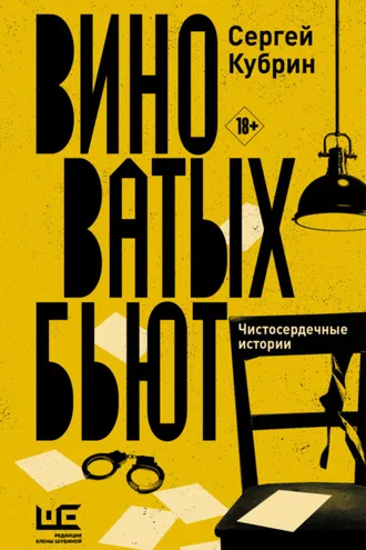 Обложка книги «Виноватых бьют»