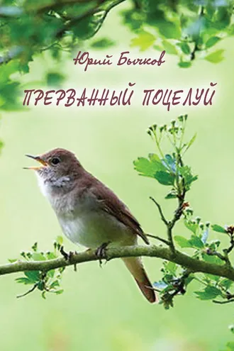 Обложка книги «Прерванный поцелуй»