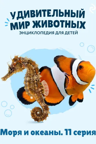 Обложка книги «Удивительный мир животных. Моря и океаны. 11 серия»