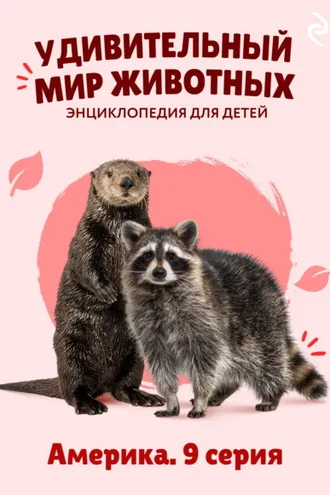 Обложка книги «Удивительный мир животных. Америка. 9 серия»