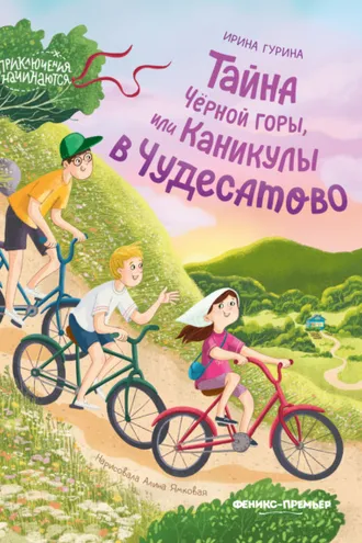 Обложка книги «Тайна Черной горы, или Каникулы в Чудесатово»