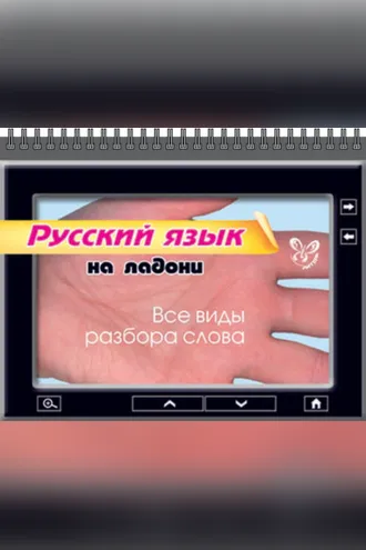 Обложка книги «Русский язык. Все виды разбора слова»