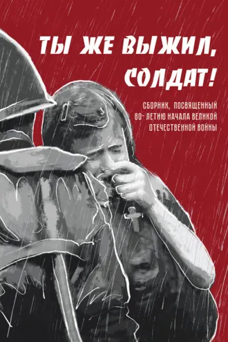 Обложка книги «Ты же выжил, солдат!»