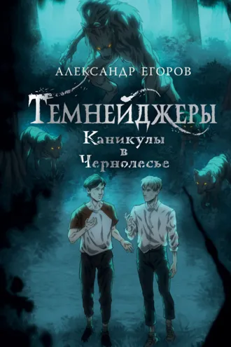 Обложка книги «Темнейджеры. Каникулы в Чернолесье»